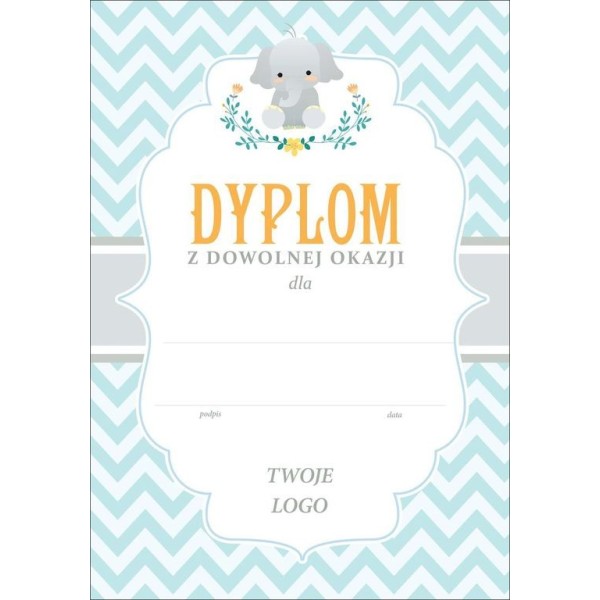 dyplom 17