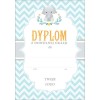 dyplom 17