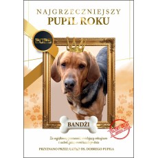 Certyfikat Najgrzeczniejszy Pupil Roku, personalizowana pamiątka dla psa 2